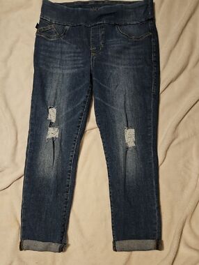 Rock & Republic Dark Blue Distressed Skinny Jeans